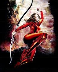 Katniss 14x17